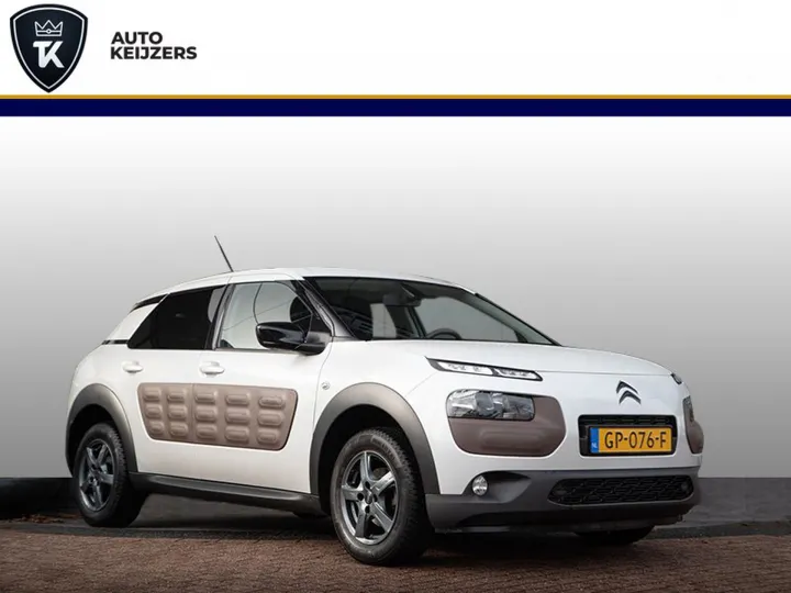 Citroën C4 Cactus 1.6 BlueHDi Business  Image 1